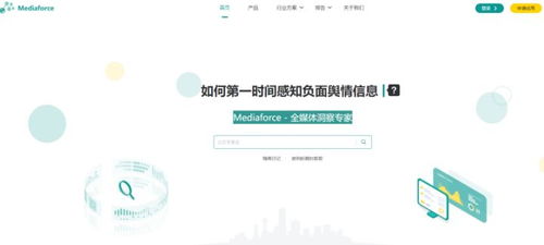 國內(nèi)網(wǎng)絡(luò)營銷推廣與信息安全軟件開發(fā)工具精選